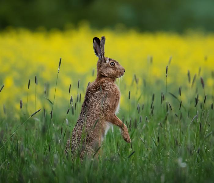 Basiskwaliteit natuur ede Afbeelding 2