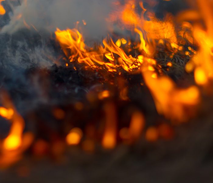 Afbeelding 2 Bouwfysica akoestiek en brandveiligheid