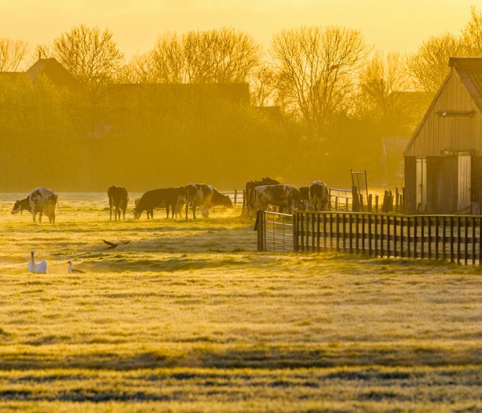Afbeelding 1 Verdienmodellen i d Agrarische Sector