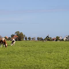 Weidegebied en boerderij