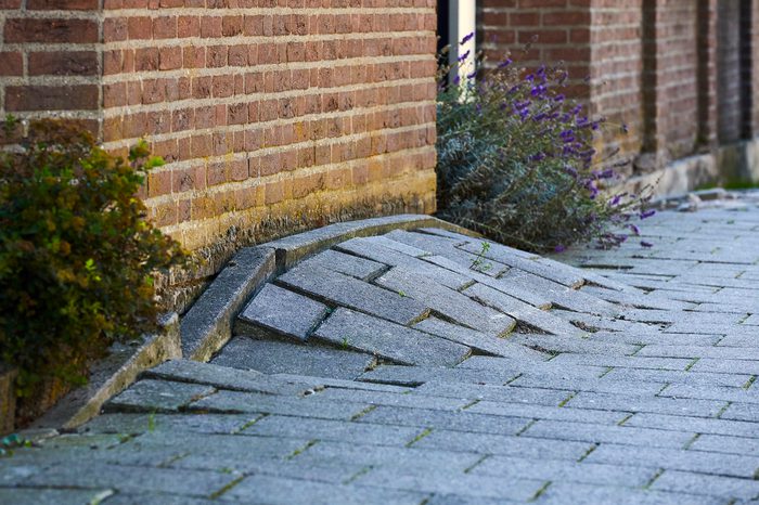 Afbeelding 1 Advies Bodemdaling en Droogte