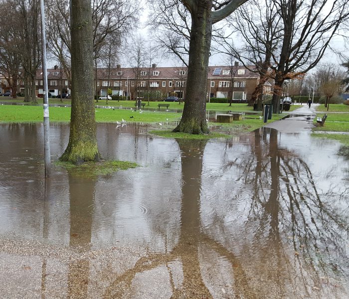 Afbeelding 2 Advies Klimaatadaptie Stedelijk Water