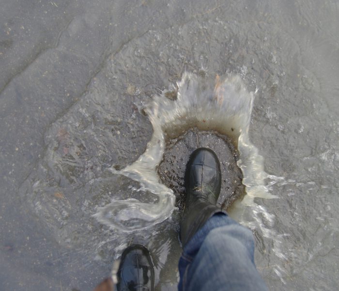 Afbeelding 2 Grondwateronderzoek en advies