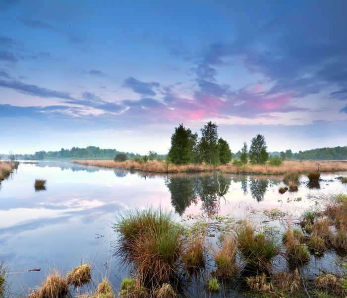 Afbeelding 2 Ontwerp Toekomstbestendig Watersysteem