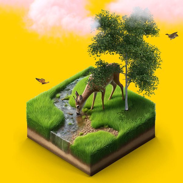 Maatschappelijke Opgave Biodiversiteit