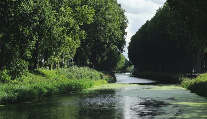 De vecht nature