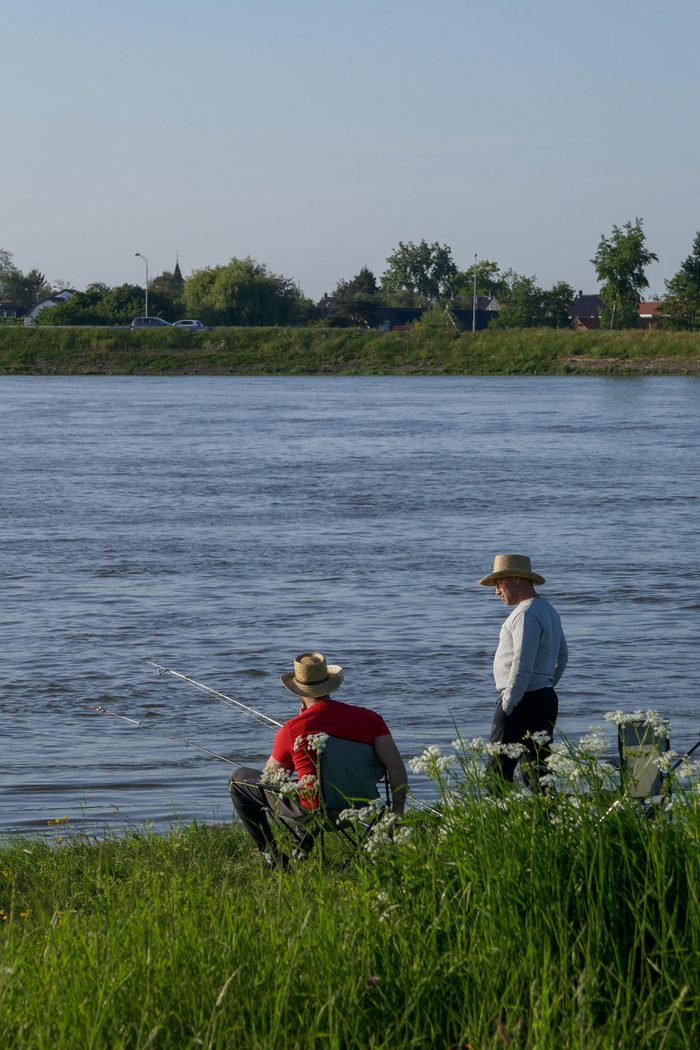 Vissen vecht 1