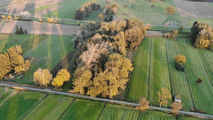 Basiskwaliteit natuur ede Header