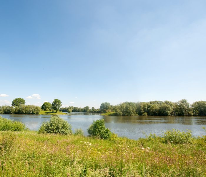 Afbeelding 2 Project Tracéstudie dijkversterking Maashees Boxmeer