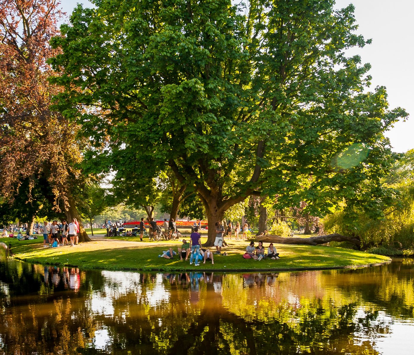Afbeelding 2 Project Waterbeheer in het Vondelpark