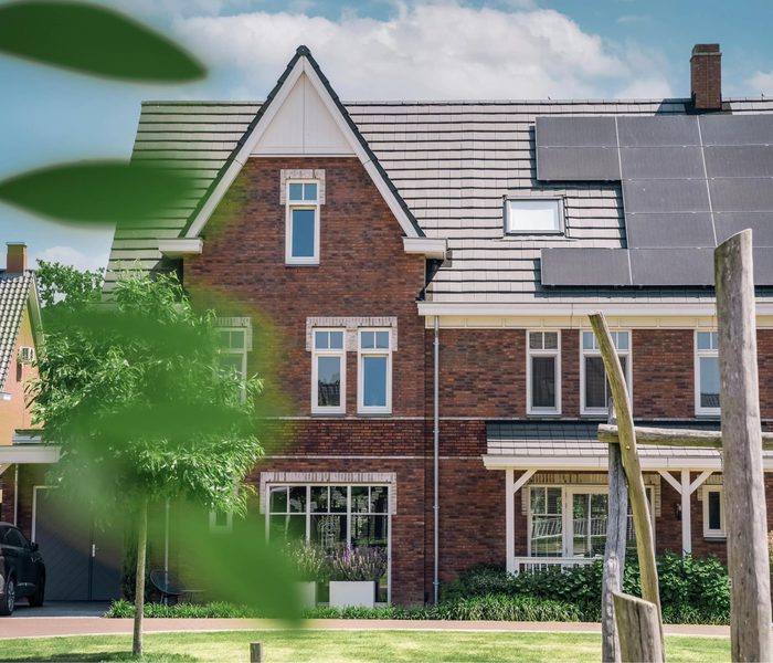 Afbeelding 6 Project Willemsbuiten van ontwerp naar woonplezier