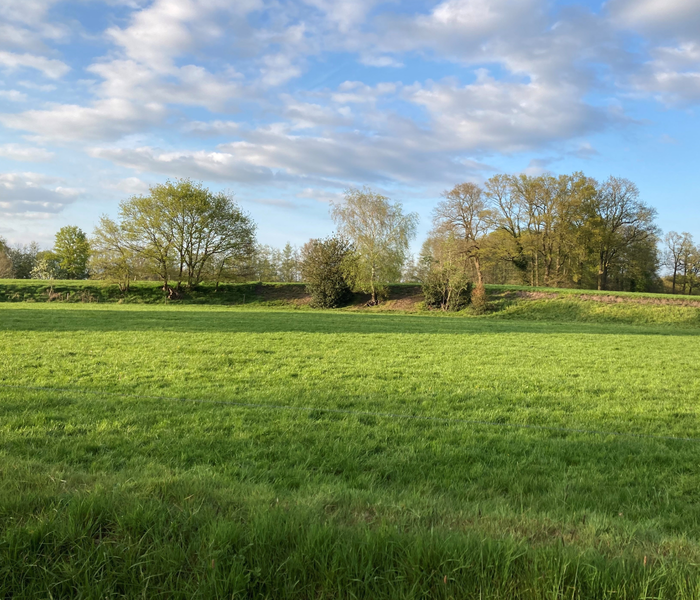 Afbeelding Gebiedsscan Noord Oost Twente